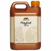 Райкат Финал