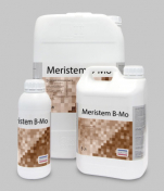 Меристем B-Mo