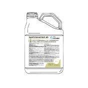 Ранголи-Норил, КЭ